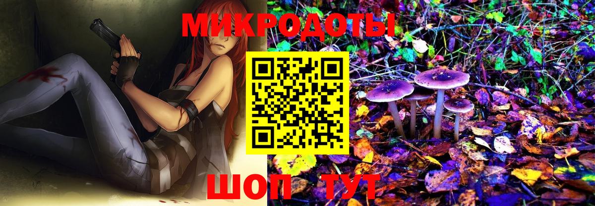 Псилоцибиновые грибы Psilocybe  Галлюциногенные грибы Psilocybine cubensis  Калининград 