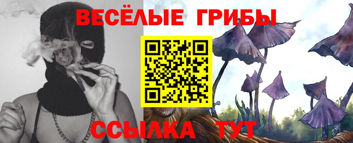 Псилоцибиновые грибы ЛСД  купить закладку  Калининград  Псилоцибиновые грибы Magic Shrooms  Вход с VPN 